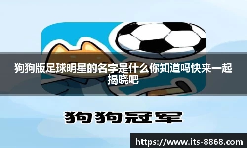 8868体育官方网站